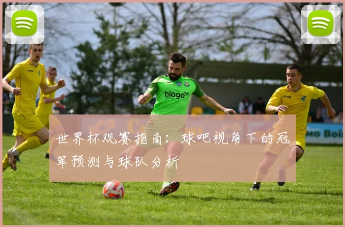 世界杯观赛指南:球吧视角下的冠军预测与球队分析