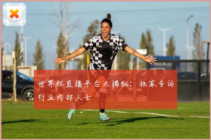 世界杯直播平台大揭秘:独家专访行业内部人士
