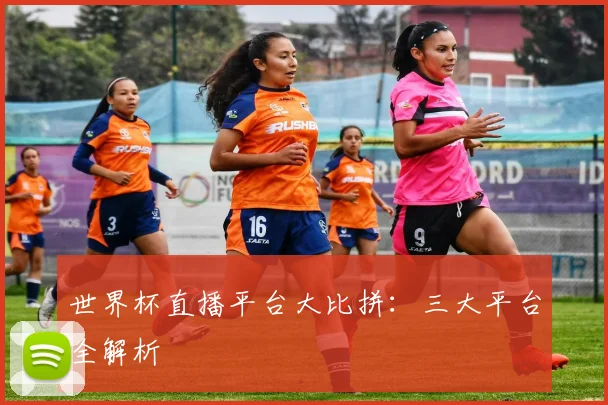 世界杯直播平台大比拼:三大平台全解析