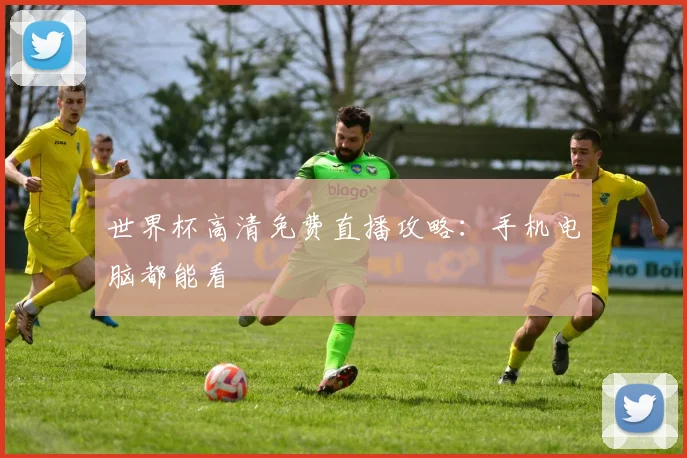 世界杯高清免费直播攻略:手机电脑都能看