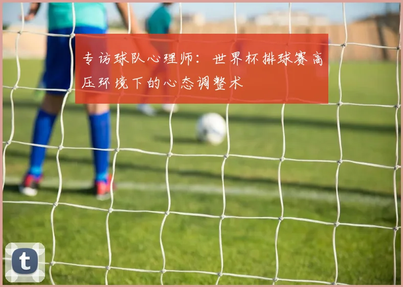 专访球队心理师:世界杯排球赛高压环境下的心态调整术