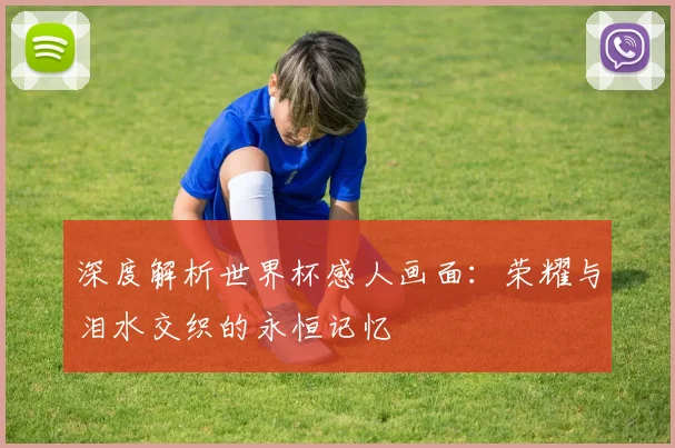 深度解析世界杯感人画面：荣耀与泪水交织的永恒记忆