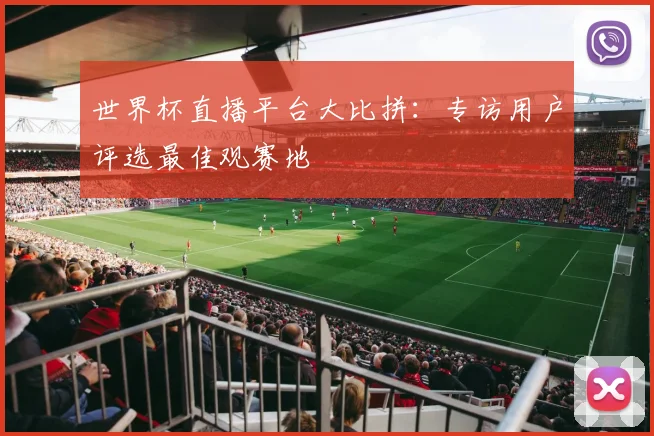 世界杯直播平台大比拼:专访用户评选最佳观赛地